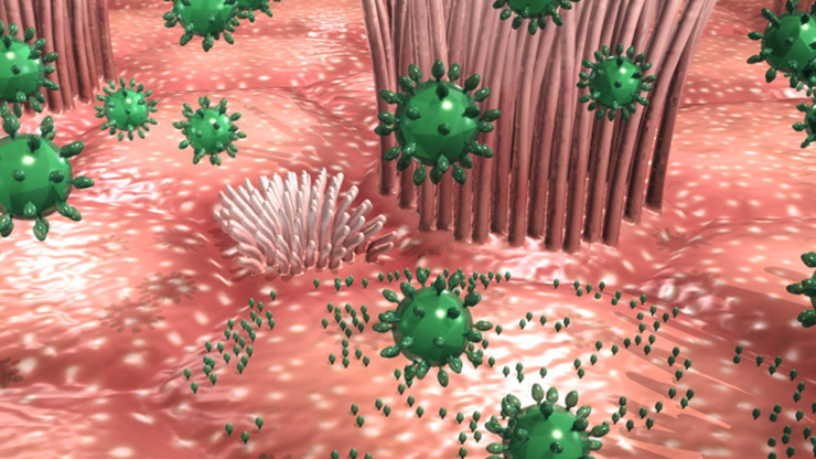 Cipro antibiotic urinary tract infection Cipro antibiotic urinary tract infection