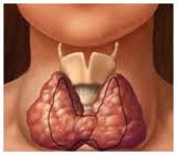 Thyrotoxicosis