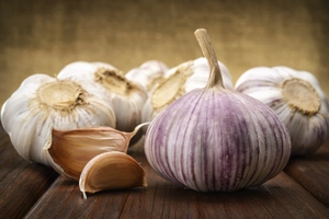 Garlic