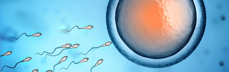 IVF