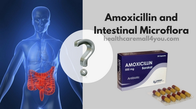Amoxicillin and Intestinal Microflora