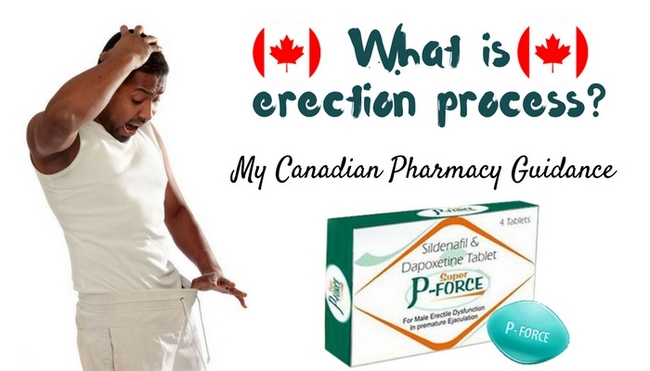 What is erection process?
